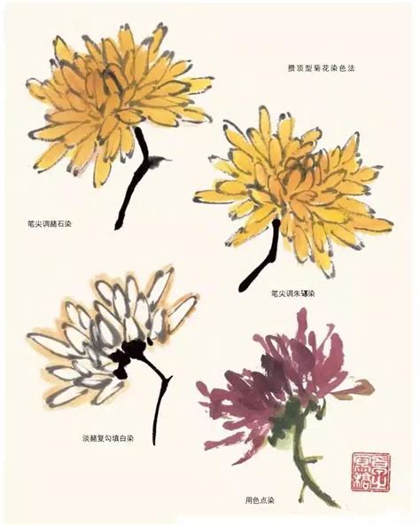 国画菊花|国画写意菊花画法（附视频教程）